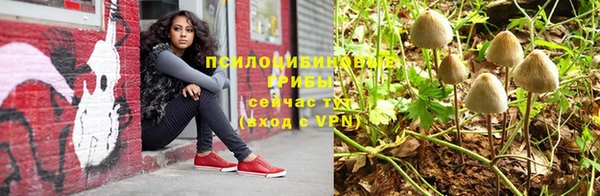 не бодяженный Новодвинск