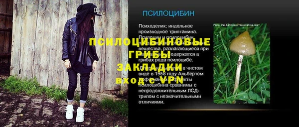 не бодяженный Новодвинск