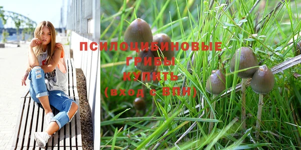 не бодяженный Новодвинск
