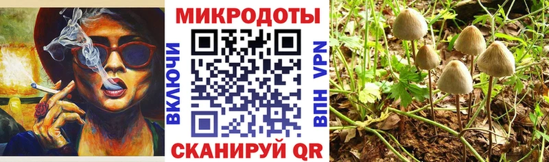 Галлюциногенные грибы Psilocybine cubensis  закладки  Усть-Катав 